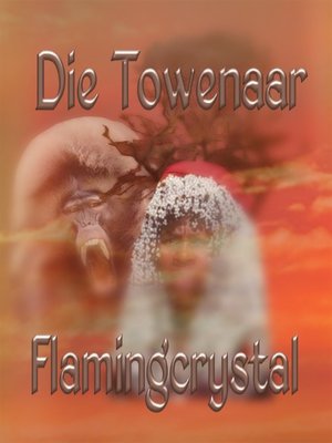 cover image of Die Towenaar